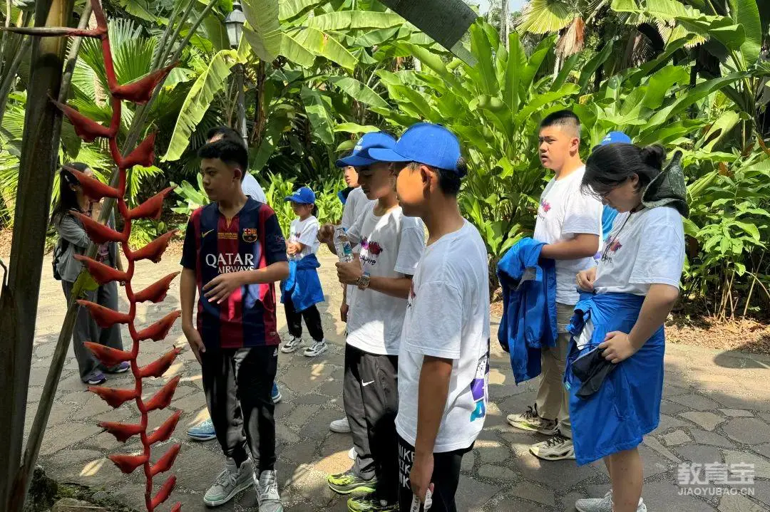 哪里可以找到关于篮球心理训练的资源_1