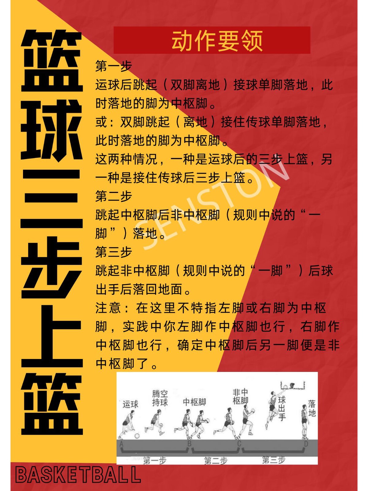 篮球基础训练视频教程全集